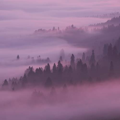 Photo #9197246