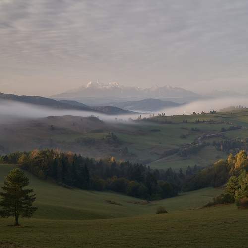 Photo #9197251