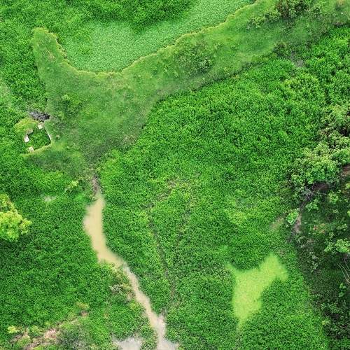 Photo #9197400
