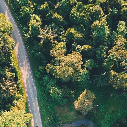 Photo #9197401