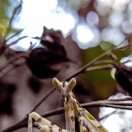 Photo #9197639