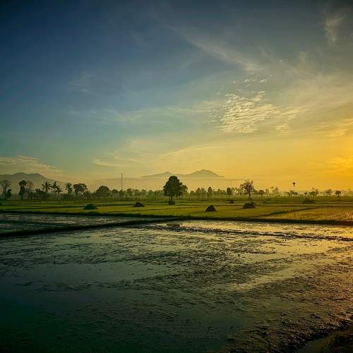 Photo #9197640