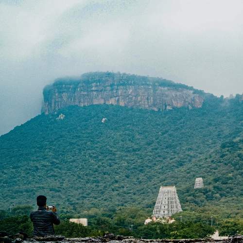 The Heaven - TEMPLE GOPURAMS