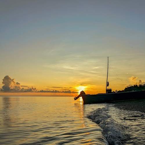 Photo #9197662