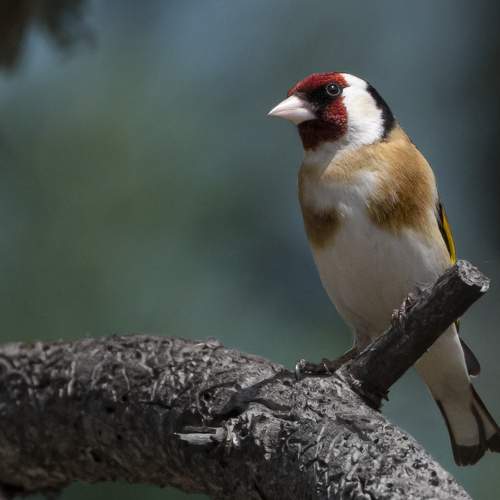 Фотография #9198011