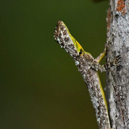 Photo #9198438