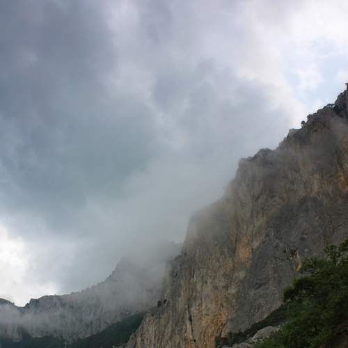 Photo #9198474