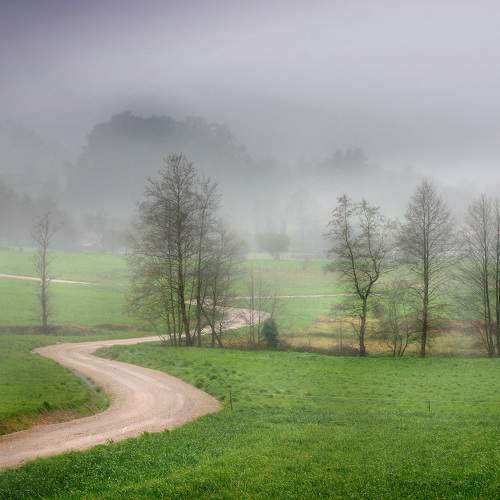 Photo #9198584