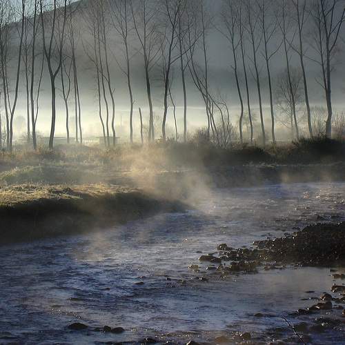 Photo #9198586