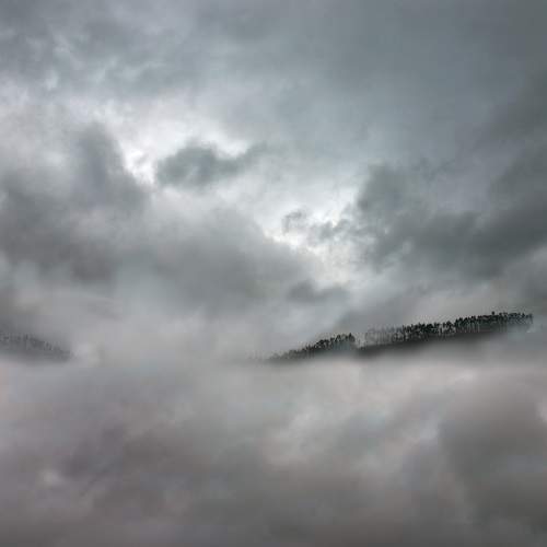Photo #9198589