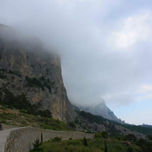 Photo #9198621