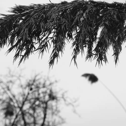 Photo #9199081