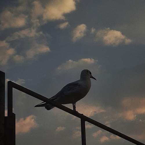 Photo #9199122