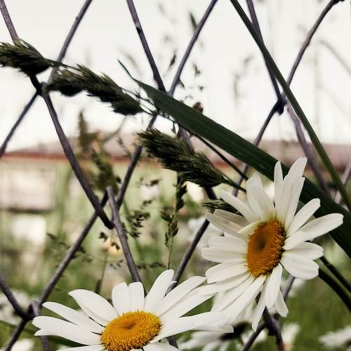 Photo #9199186