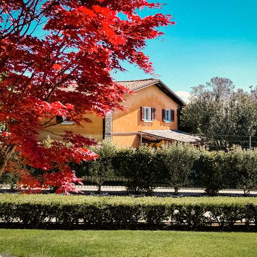 Photo #9199282