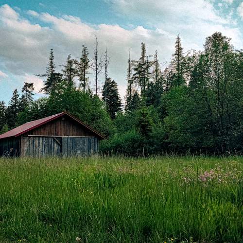 Photo #9199284