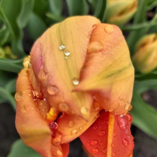Photo #9199615