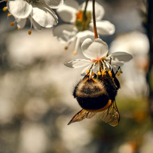 Photo #9199616