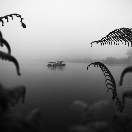 Silence & Nature