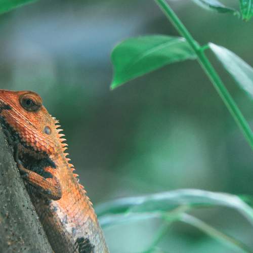 Photo #9199747