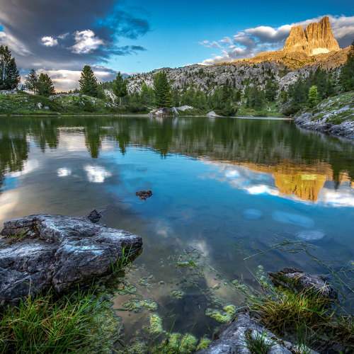 Photo #9200020