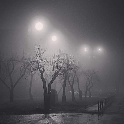 Photo #9200066