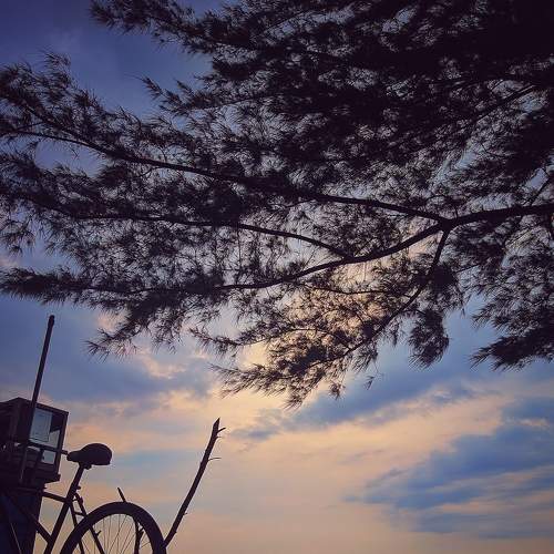 Photo #9200154