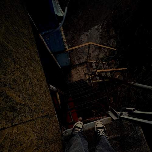 Photo #9200250