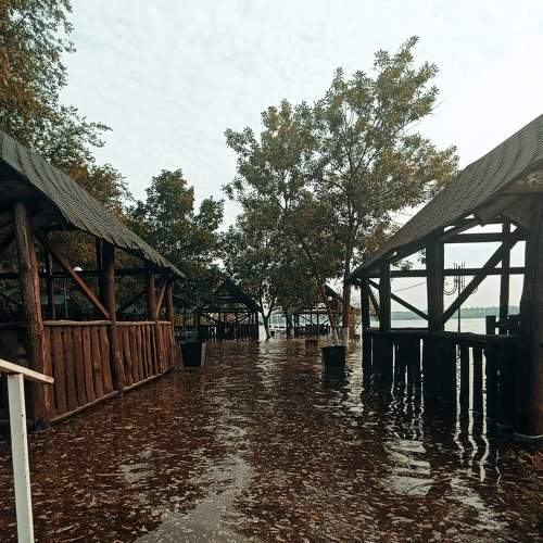 Photo #9200251