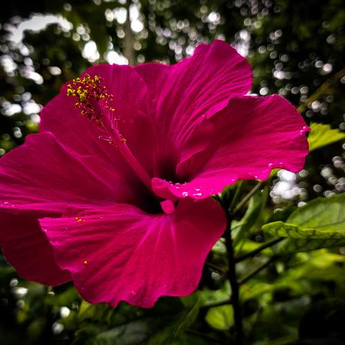 Photo #9200402