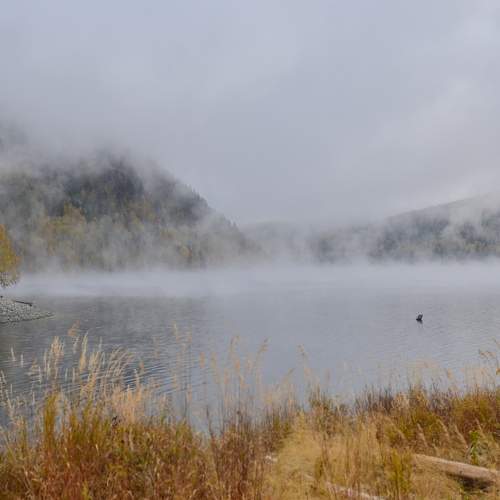 Photo #9200475
