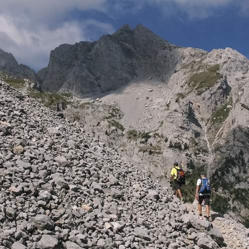 Photo #9200630