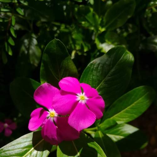 Photo #9200631