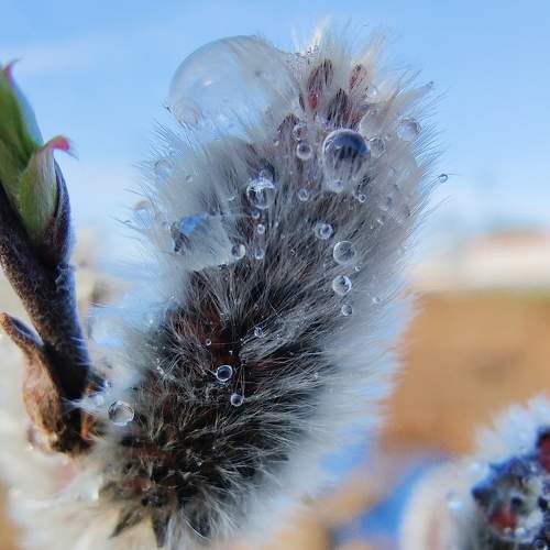 Photo #9200878