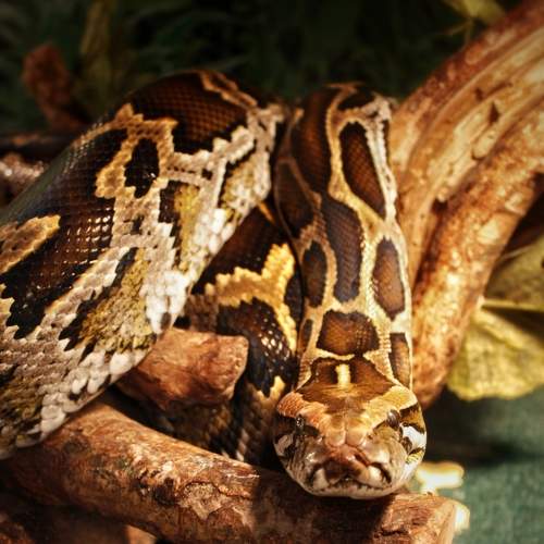 Photo #9200898