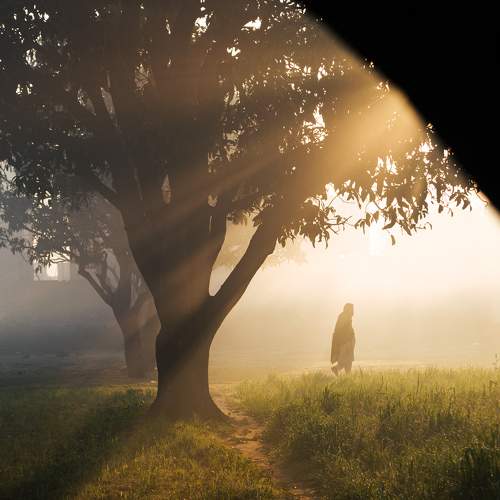 Photo #9200940