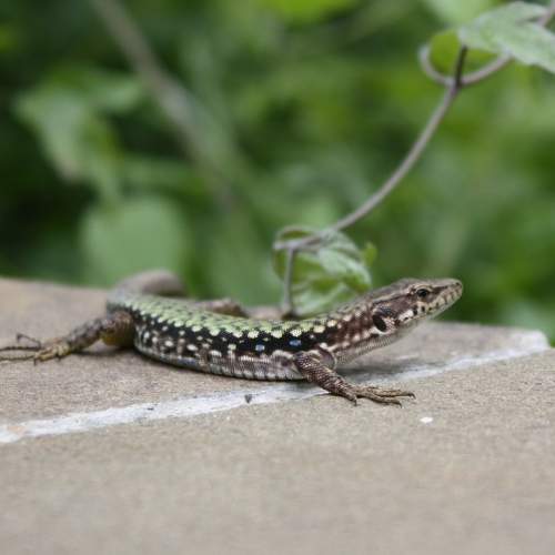 Photo #9200943