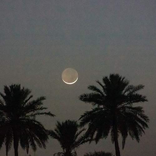 Photo #9201054