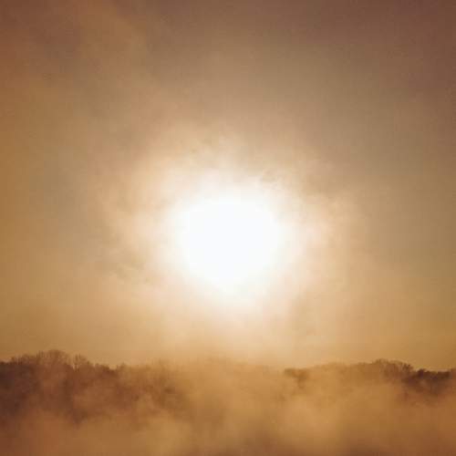 Photo #9201195