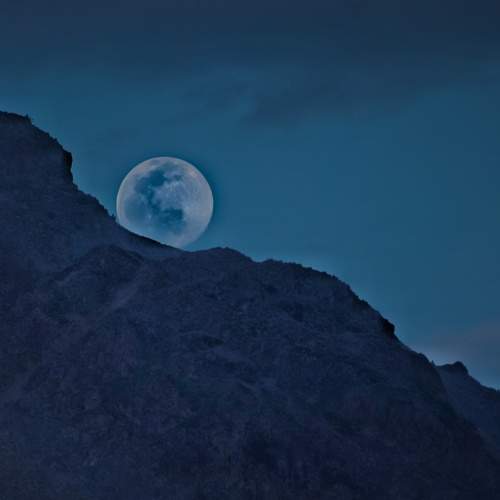 Photo #9201210