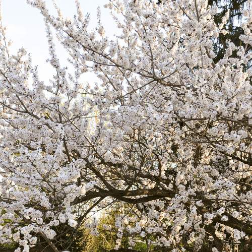 Photo #9201429