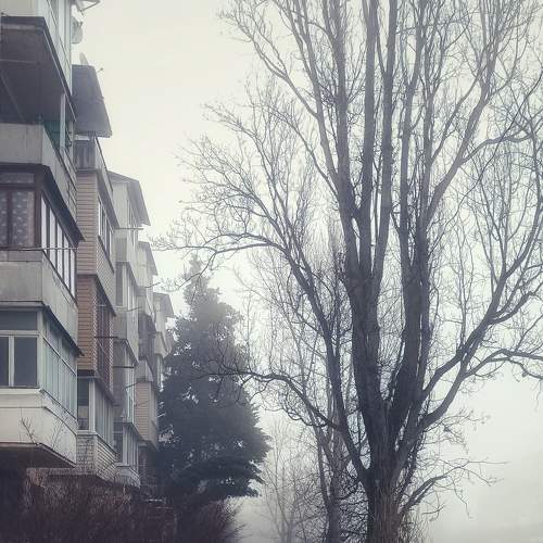 Photo #9201655