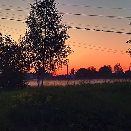 Photo #9201845