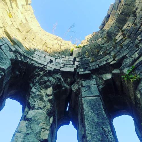 Photo #9201990