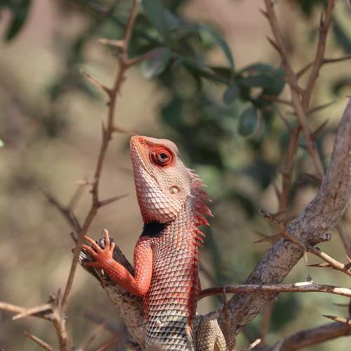 Photo #9202003