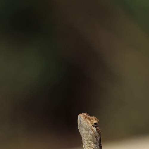 Photo #9202004