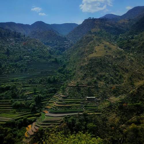 Photo #9202046