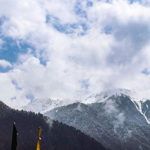 Photo #9202081