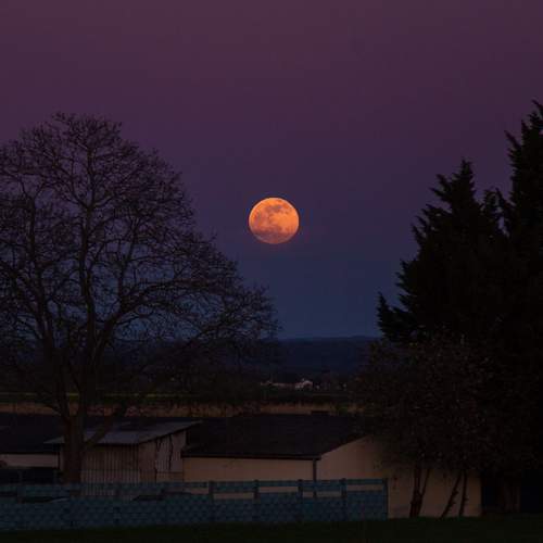 Photo #9202669
