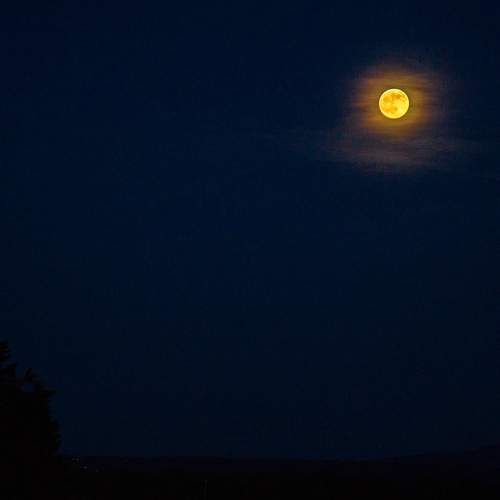 Photo #9202670